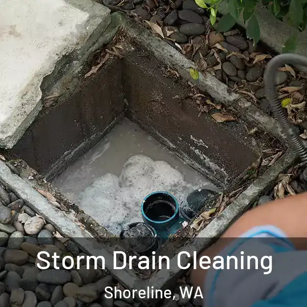  Storm Drain Cleaning Shoreline, WA