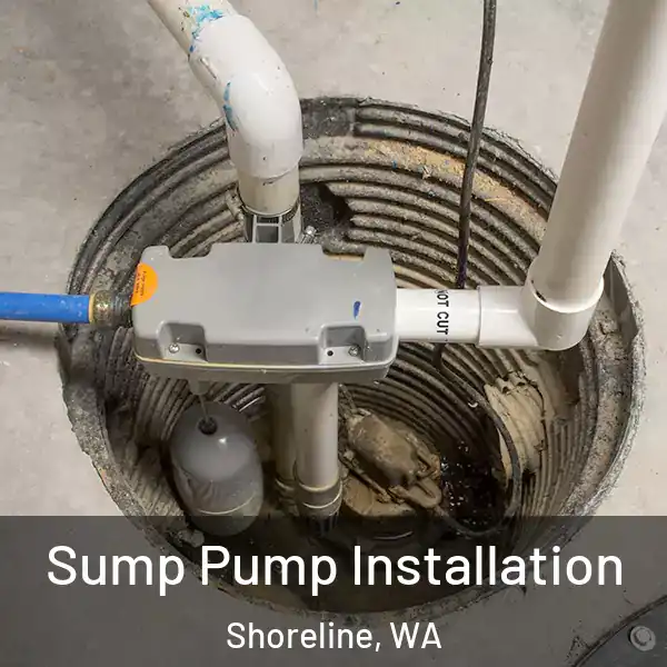  Sump Pump Installation Shoreline, WA