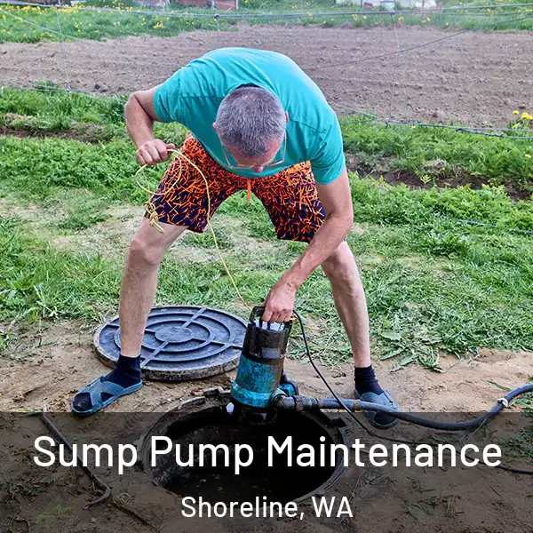  Sump Pump Maintenance Shoreline, WA
