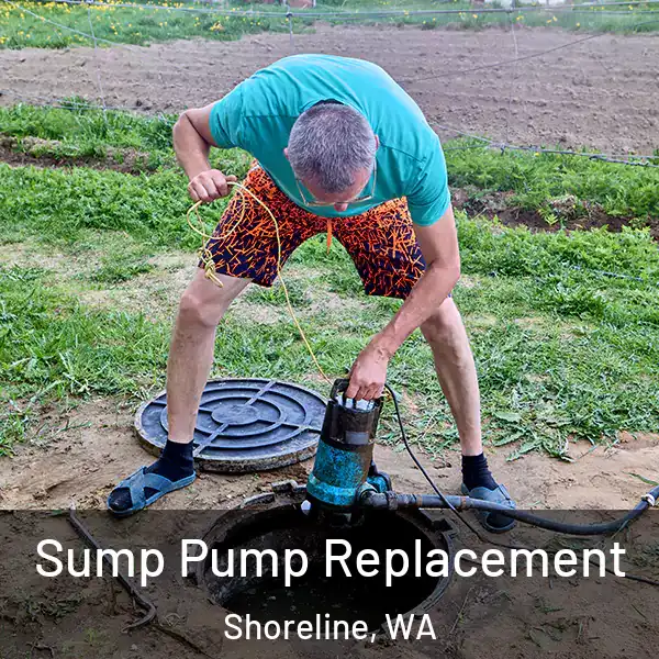  Sump Pump Replacement Shoreline, WA