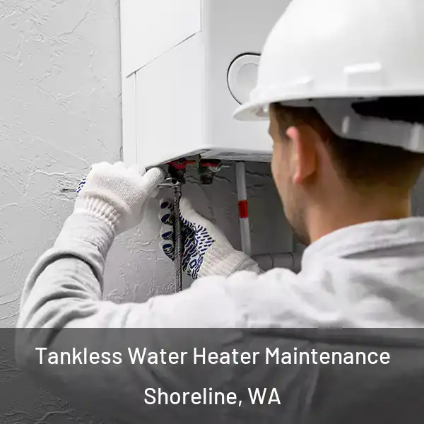  Tankless Water Heater Maintenance Shoreline, WA
