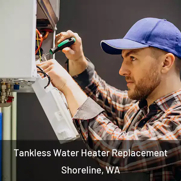  Tankless Water Heater Replacement Shoreline, WA