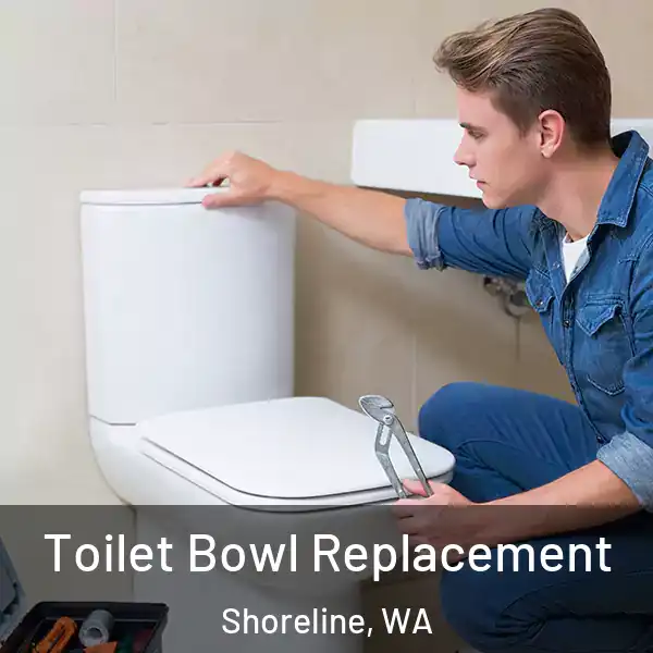  Toilet Bowl Replacement Shoreline, WA