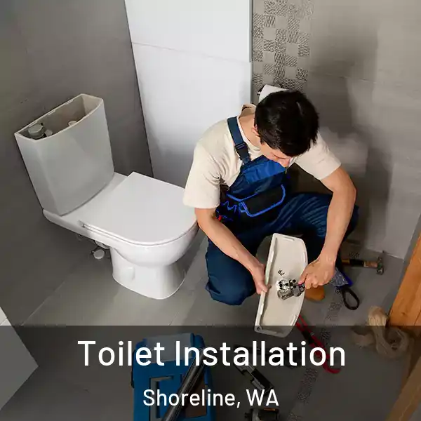  Toilet Installation Shoreline, WA