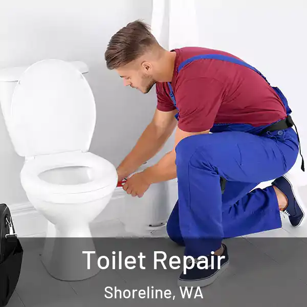  Toilet Repair Shoreline, WA