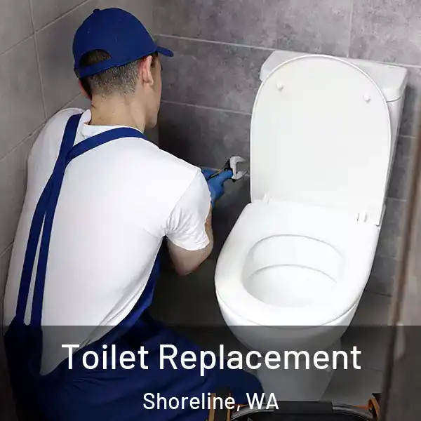  Toilet Replacement Shoreline, WA