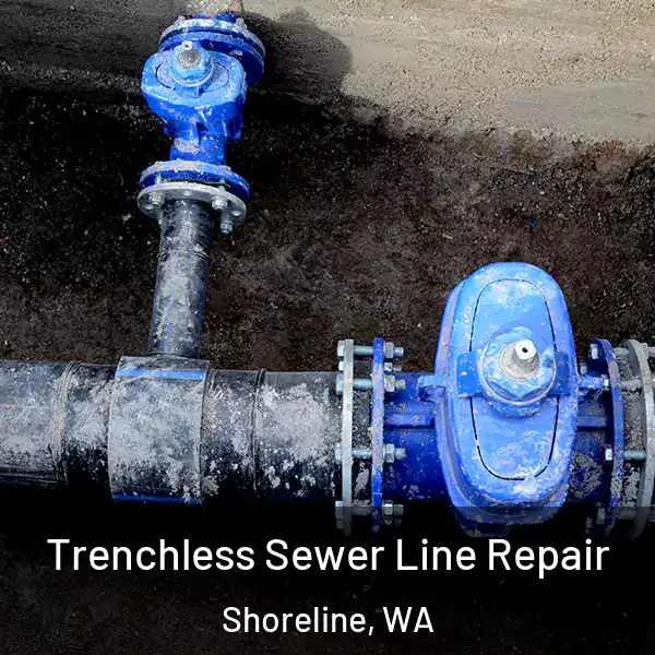  Trenchless Sewer Line Repair Shoreline, WA