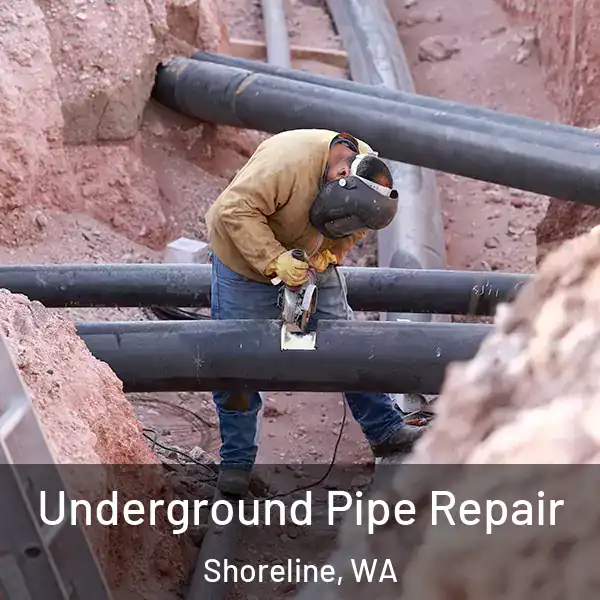 Underground Pipe Repair Shoreline, WA