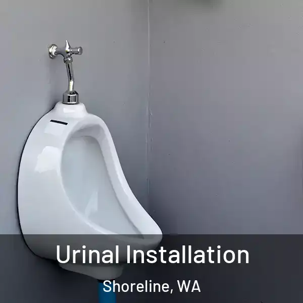  Urinal Installation Shoreline, WA