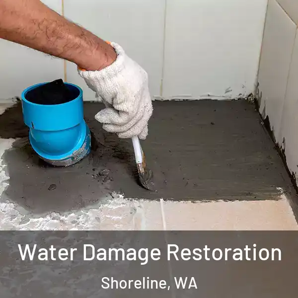  Water Damage Restoration Shoreline, WA