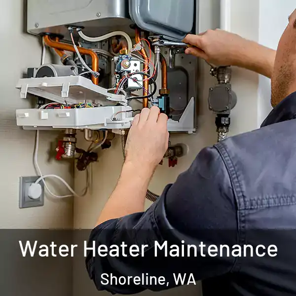  Water Heater Maintenance Shoreline, WA
