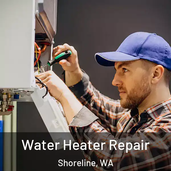  Water Heater Repair Shoreline, WA