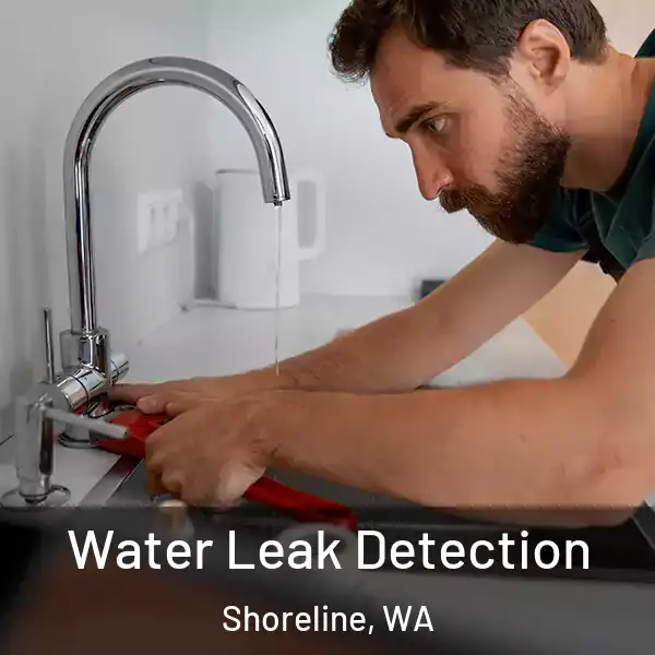  Water Leak Detection Shoreline, WA