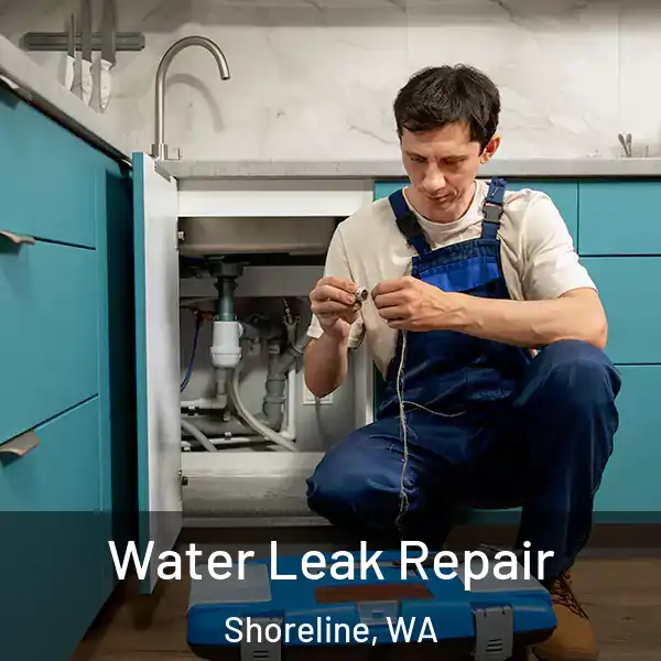  Water Leak Repair Shoreline, WA
