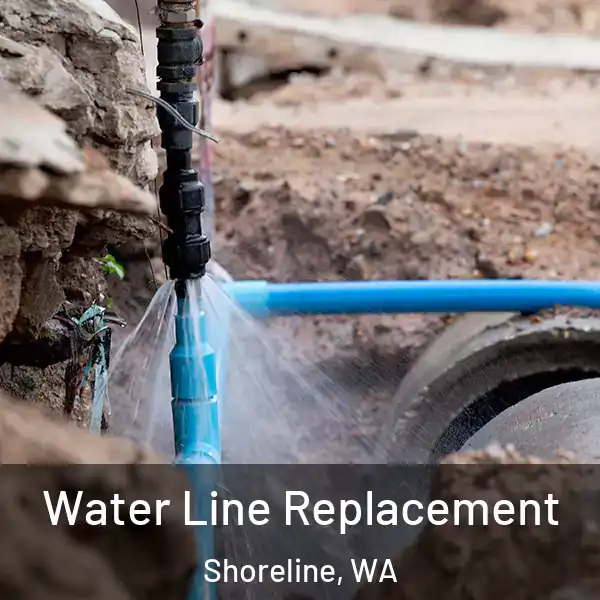  Water Line Replacement Shoreline, WA