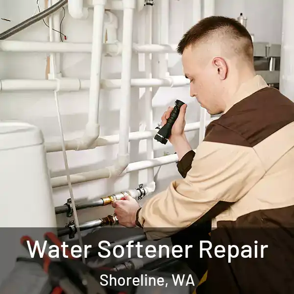  Water Softener Repair Shoreline, WA