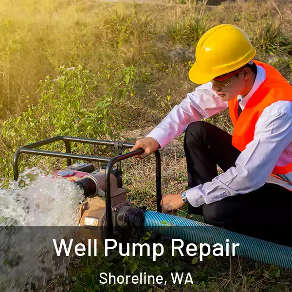  Well Pump Repair Shoreline, WA