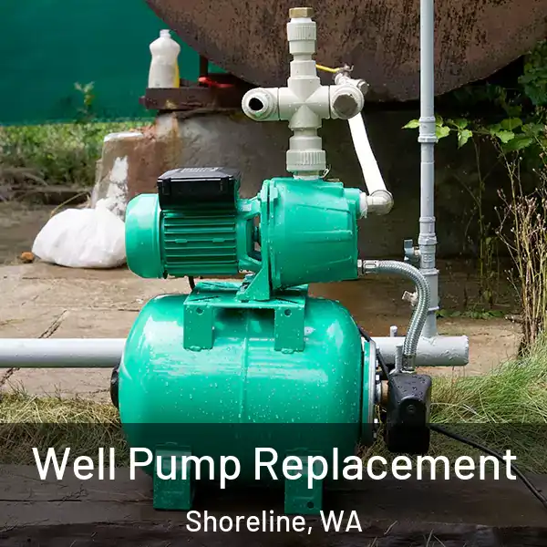  Well Pump Replacement Shoreline, WA